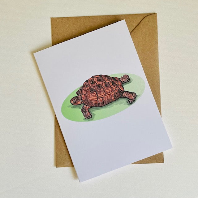 Tilly the Tortoise Greeting Card