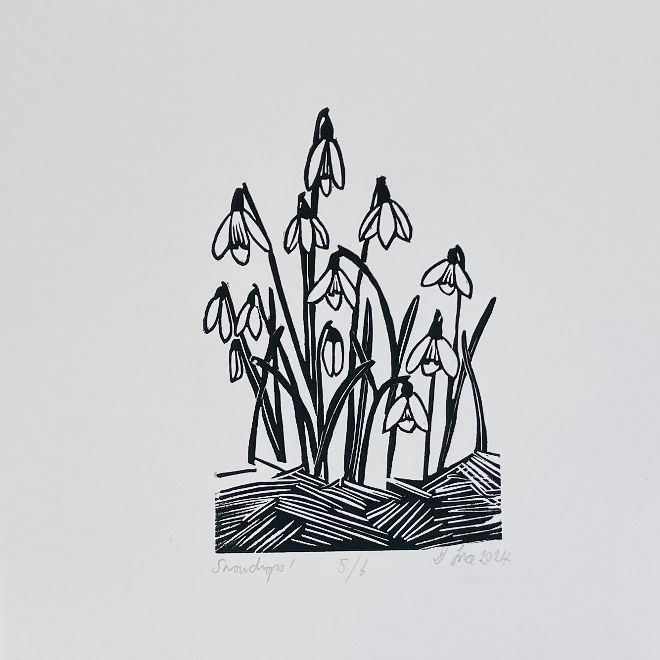 SSF Snowdrops in black print