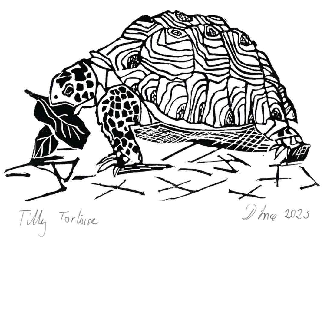 SSF Tilly Tortoise