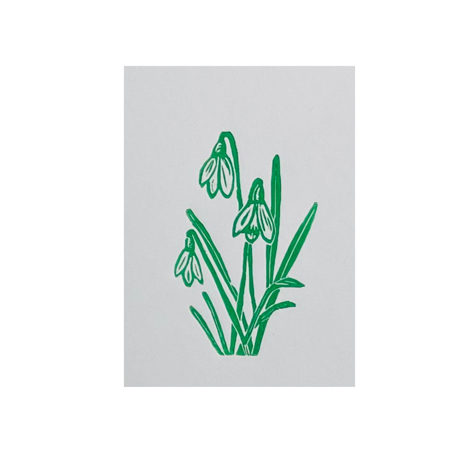 SSF snowdrops in green