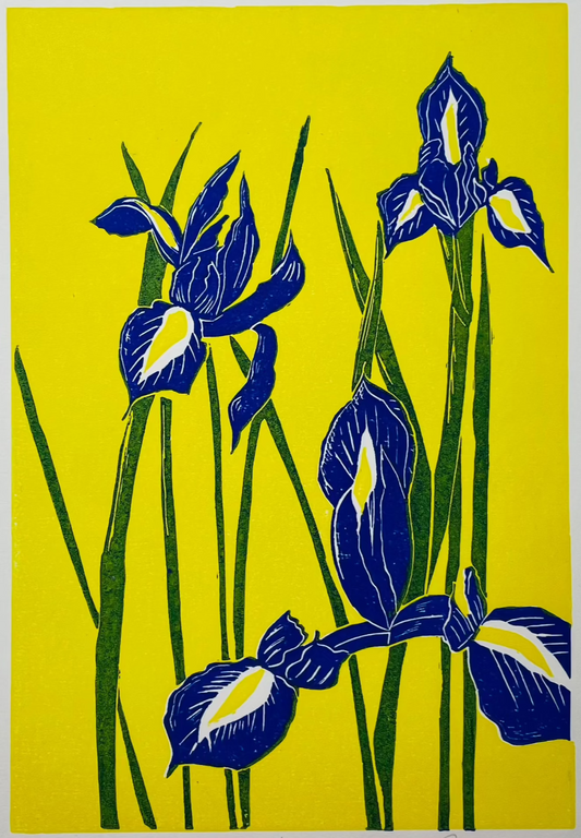 Blue Irises in a bright sunny yellow background lino print