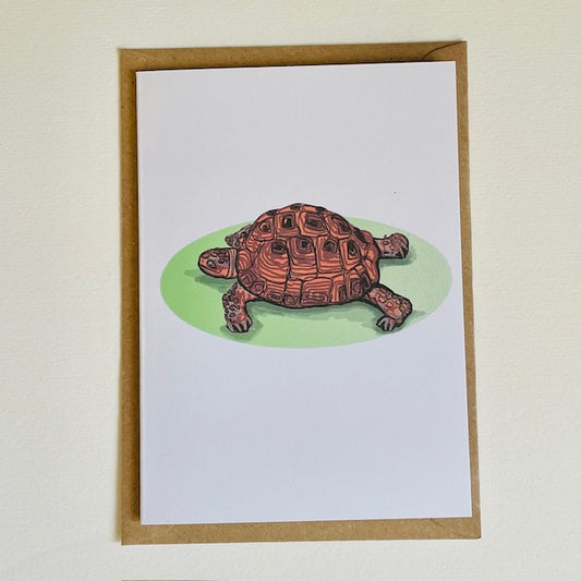 Tilly the Tortoise Greeting Card