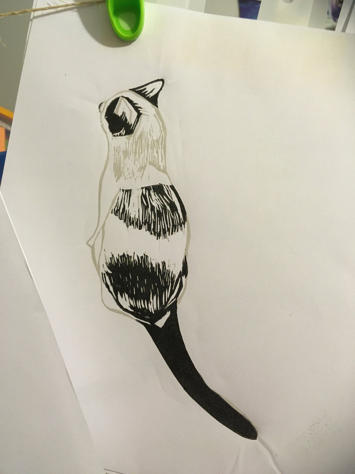 SSF Black and white cat