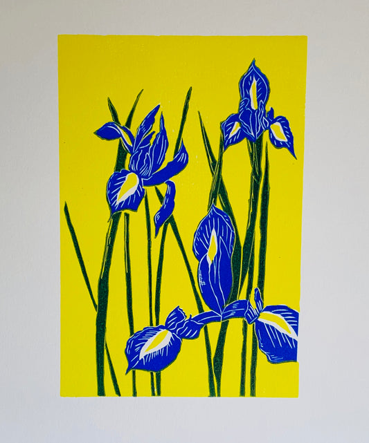 Blue Irises in a pop of yellow!