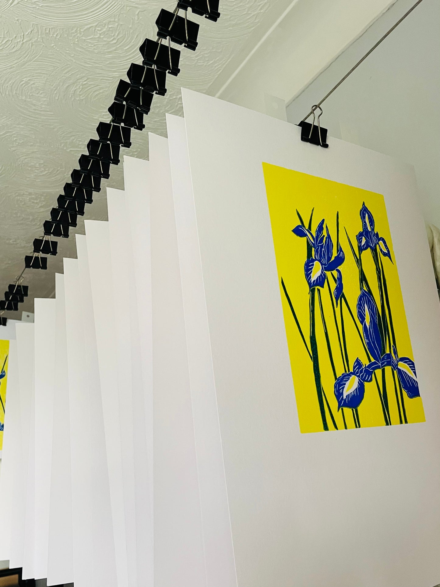 Blue Irises in a pop of yellow!