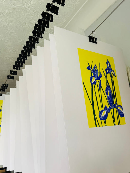 Blue Irises in a pop of yellow!