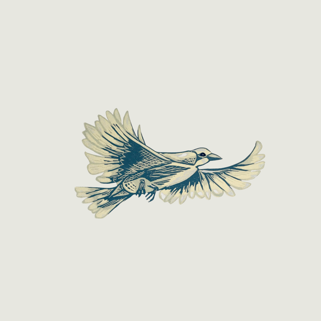SSF Peace Bird