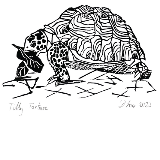 SSF Tilly Tortoise