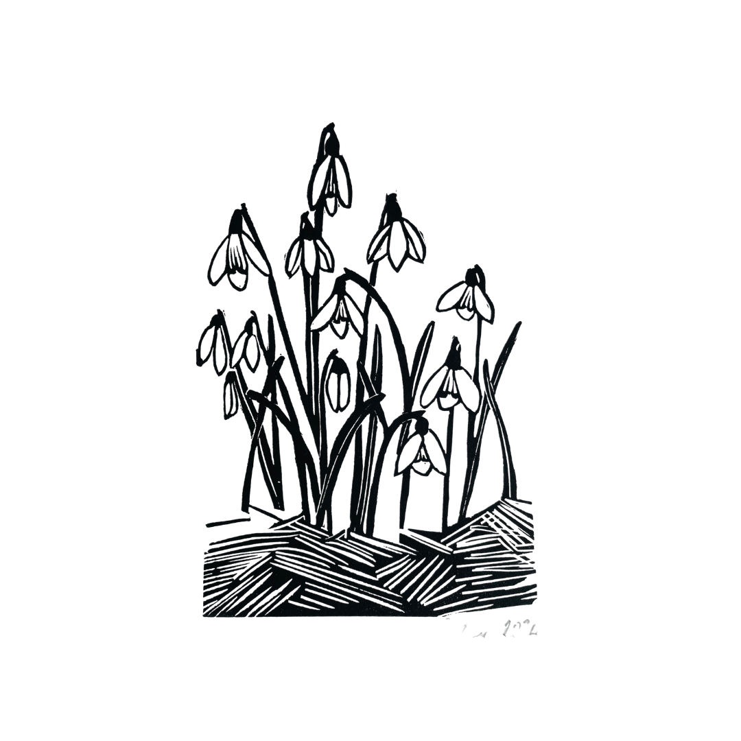 SSF Snowdrops in Black or Green original lino print