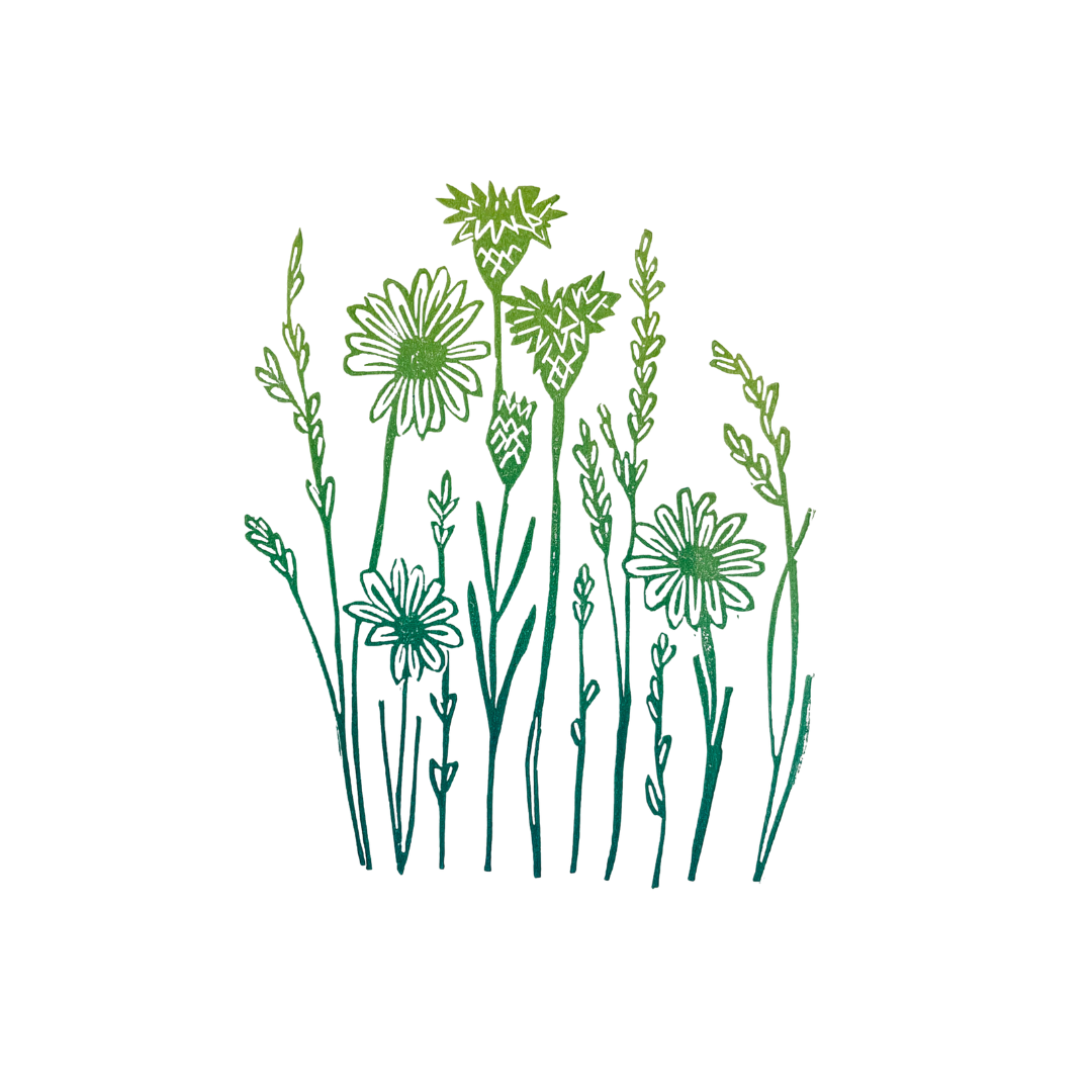 SSF Wildflowers and Grasses Rainbow Roll Print