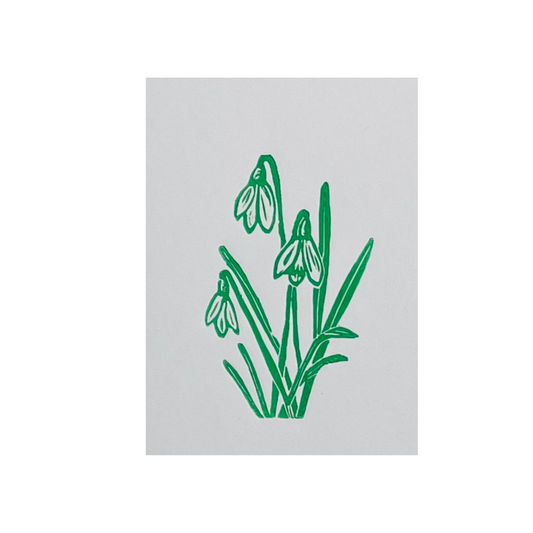 SSF snowdrops in green