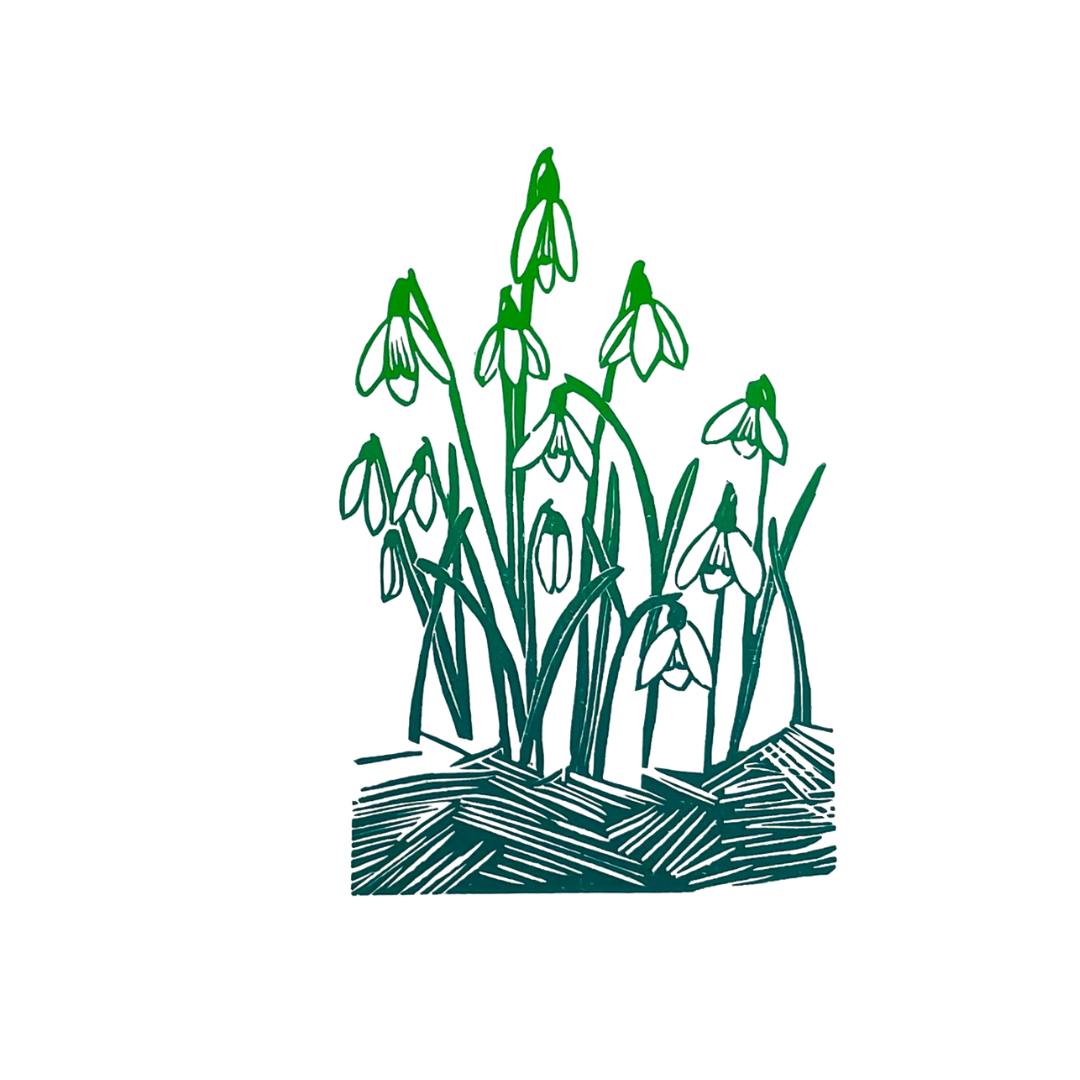 SSF Snowdrops in Black or Green original lino print